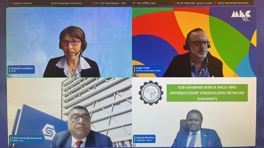 Scrennshot vom Webinar