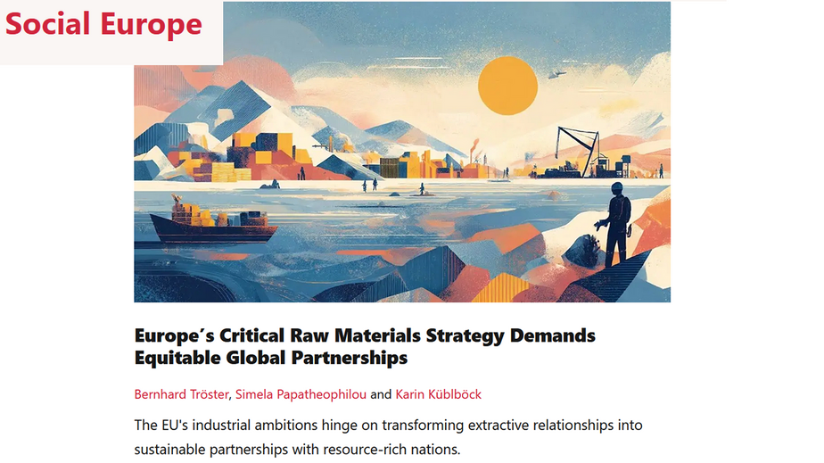 [Translate to Englisch:] screenshot des Gastbeitrages auf Social Europe