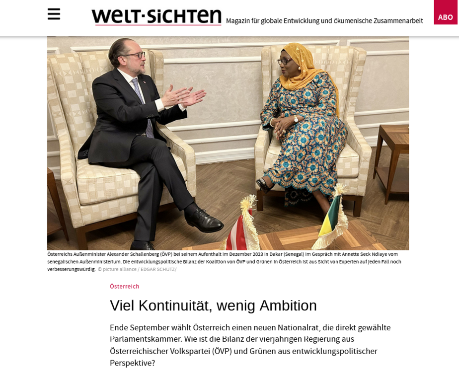 Screenshot des Artikel von der Website der Welt-Sichten